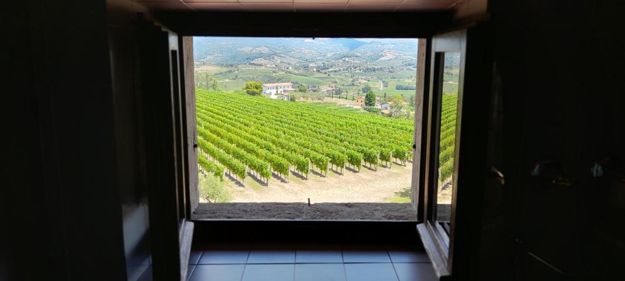 Agriturismo Casa Delle Rose Winery Ruttars Exterior photo