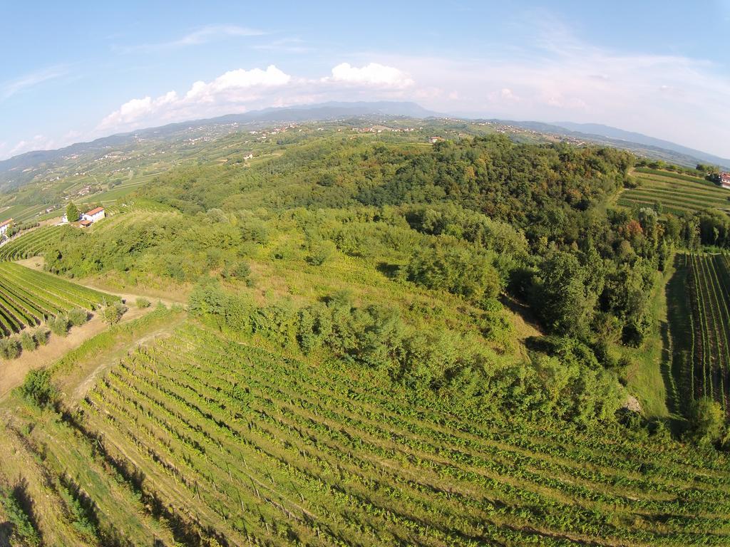 Agriturismo Casa Delle Rose Winery Ruttars Exterior photo