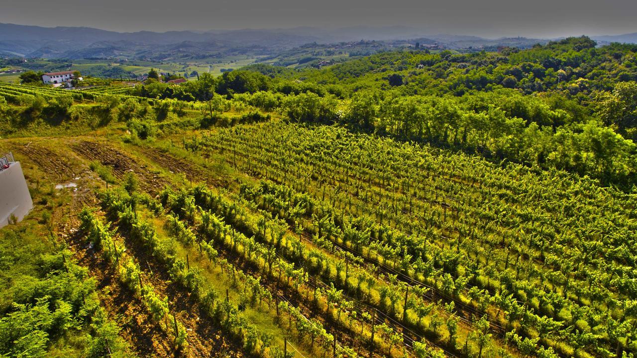 Agriturismo Casa Delle Rose Winery Ruttars Exterior photo